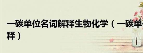 一碳单位名词解释生物化学（一碳单位名词解释）