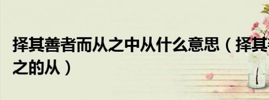 择其善者而从之中从什么意思（择其善者而从之的从）