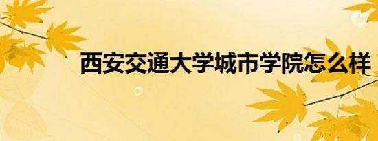 西安交通大学城市学院怎么样