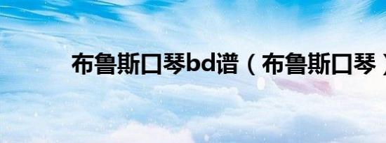 布鲁斯口琴bd谱（布鲁斯口琴）