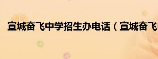 宣城奋飞中学招生办电话（宣城奋飞中学）