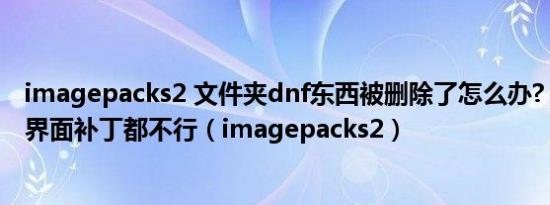 imagepacks2 文件夹dnf东西被删除了怎么办? 想下载dnf界面补丁都不行（imagepacks2）