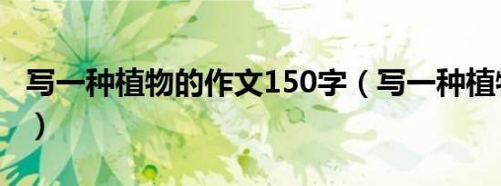 写一种植物的作文150字（写一种植物的作文）