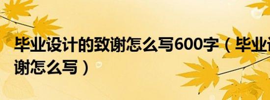 毕业设计的致谢怎么写600字（毕业设计的致谢怎么写）
