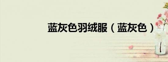 蓝灰色羽绒服（蓝灰色）