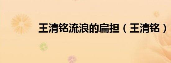 王清铭流浪的扁担（王清铭）