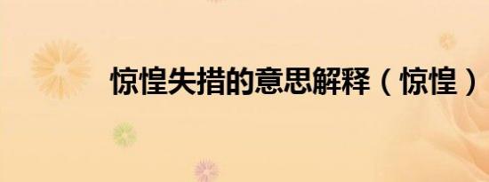 惊惶失措的意思解释（惊惶）