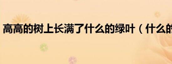 高高的树上长满了什么的绿叶（什么的绿叶）