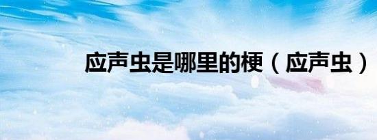 应声虫是哪里的梗（应声虫）