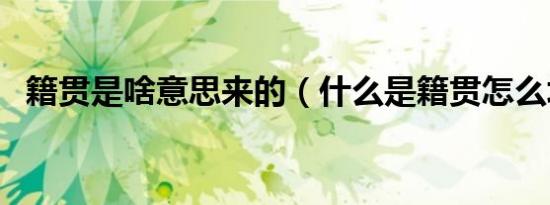 籍贯是啥意思来的（什么是籍贯怎么填写）
