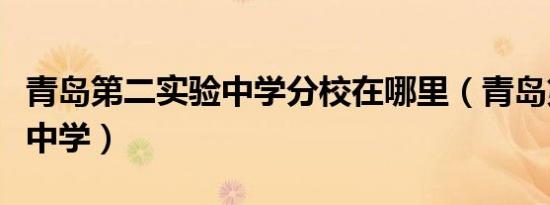青岛第二实验中学分校在哪里（青岛第二实验中学）