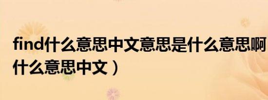 find什么意思中文意思是什么意思啊（find是什么意思中文）