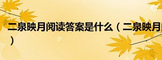 二泉映月阅读答案是什么（二泉映月阅读答案）