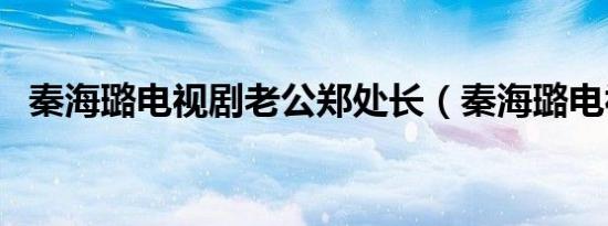 秦海璐电视剧老公郑处长（秦海璐电视剧）