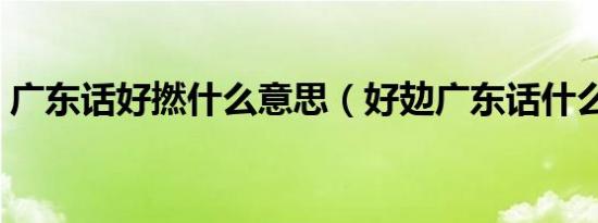广东话好撚什么意思（好攰广东话什么意思）