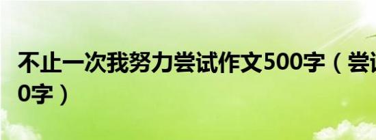 不止一次我努力尝试作文500字（尝试作文500字）