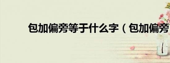 包加偏旁等于什么字（包加偏旁）
