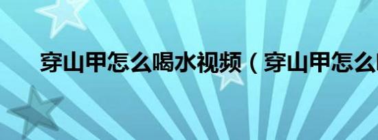 穿山甲怎么喝水视频（穿山甲怎么喝）
