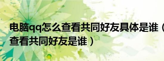 电脑qq怎么查看共同好友具体是谁（qq怎么查看共同好友是谁）