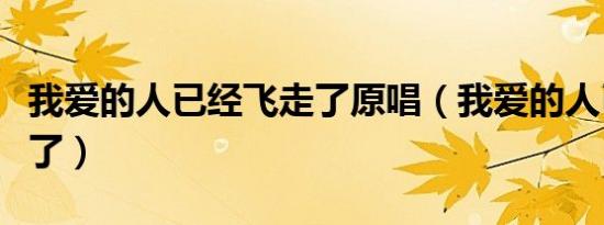 我爱的人已经飞走了原唱（我爱的人已经飞走了）