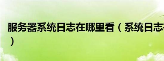 服务器系统日志在哪里看（系统日志在哪里看）