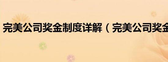 完美公司奖金制度详解（完美公司奖金制度）