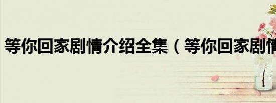 等你回家剧情介绍全集（等你回家剧情介绍）