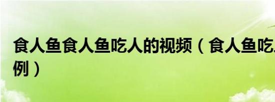 食人鱼食人鱼吃人的视频（食人鱼吃人真实案例）