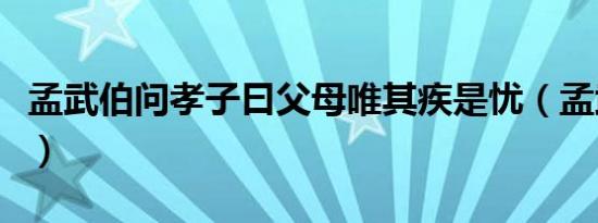 孟武伯问孝子曰父母唯其疾是忧（孟武伯问孝）