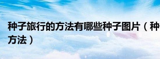 种子旅行的方法有哪些种子图片（种子旅行的方法）