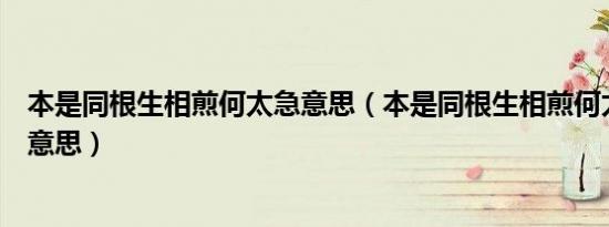 本是同根生相煎何太急意思（本是同根生相煎何太急是什么意思）