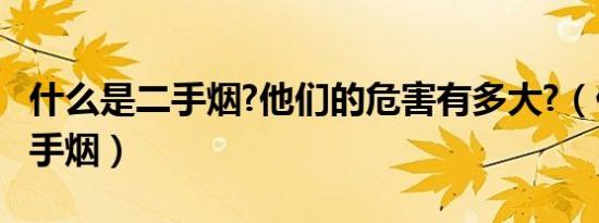 什么是二手烟?他们的危害有多大?（什么是二手烟）