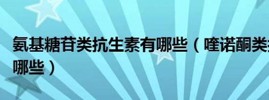 氨基糖苷类抗生素有哪些（喹诺酮类抗生素有哪些）