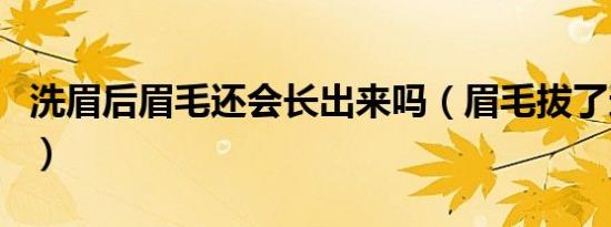 洗眉后眉毛还会长出来吗（眉毛拔了还会长吗）