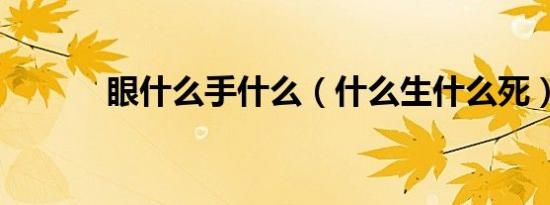 眼什么手什么（什么生什么死）