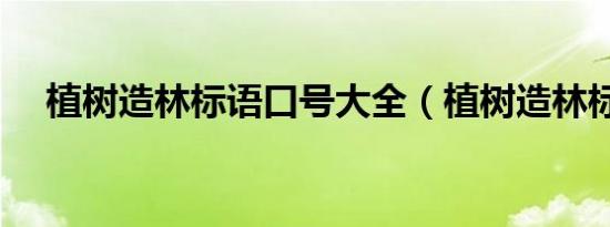 植树造林标语口号大全（植树造林标语）