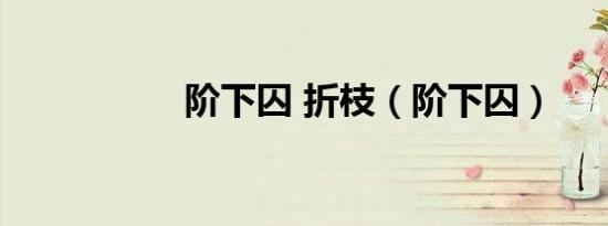 阶下囚 折枝（阶下囚）