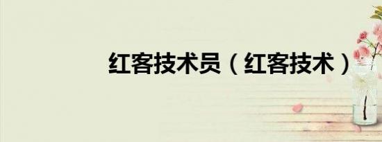 红客技术员（红客技术）