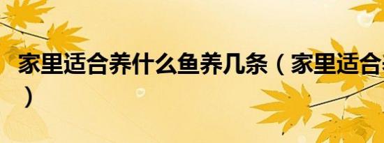 家里适合养什么鱼养几条（家里适合养什么鱼）