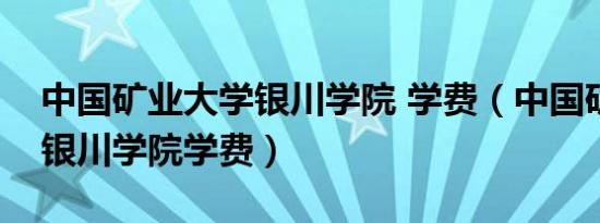 中国矿业大学银川学院 学费（中国矿业大学银川学院学费）