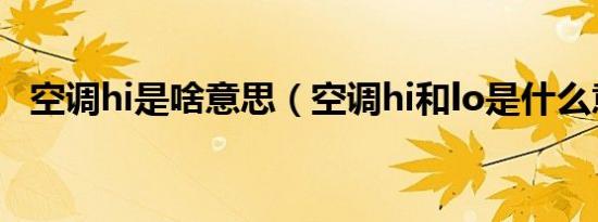 空调hi是啥意思（空调hi和lo是什么意思）