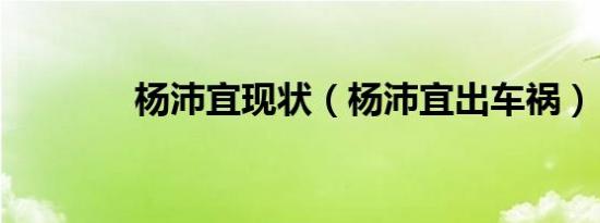 杨沛宜现状（杨沛宜出车祸）