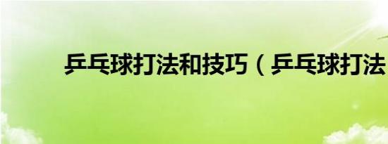 乒乓球打法和技巧（乒乓球打法）