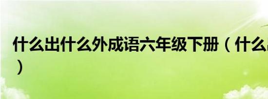 什么出什么外成语六年级下册（什么出什么外）