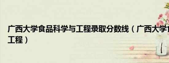 广西大学食品科学与工程录取分数线（广西大学食品科学与工程）