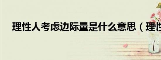 理性人考虑边际量是什么意思（理性人）