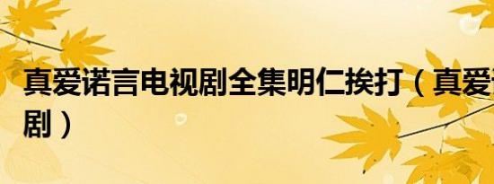 真爱诺言电视剧全集明仁挨打（真爱诺言电视剧）