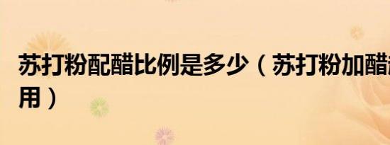苏打粉配醋比例是多少（苏打粉加醋起什么作用）