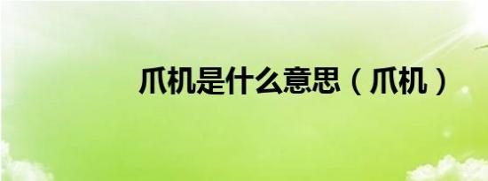 爪机是什么意思（爪机）