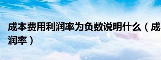 成本费用利润率为负数说明什么（成本费用利润率）